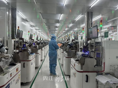 數字見證甜城內江 年產60億只產品，年入4億，營商環境為企業注入澎湃動能